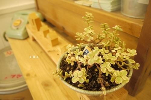 【高雄】小小咖啡 caffè 空間design ~跟著河馬先生吃喝玩樂