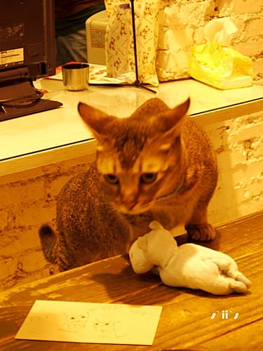 【台南】跟著河馬先生臺南晃晃─第四站  飛魚記憶美術館
