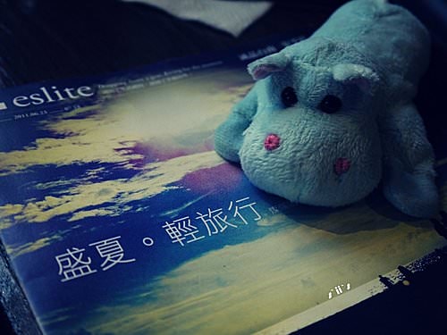 【台南】跟著河馬先生臺南晃晃─第二站   下午茶IORI TEA HOUSE