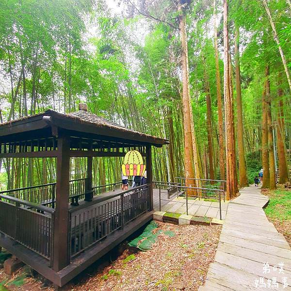 【嘉義】奮起湖步道│遠眺奮起湖車站、神社遺址、看巨木 ，好走