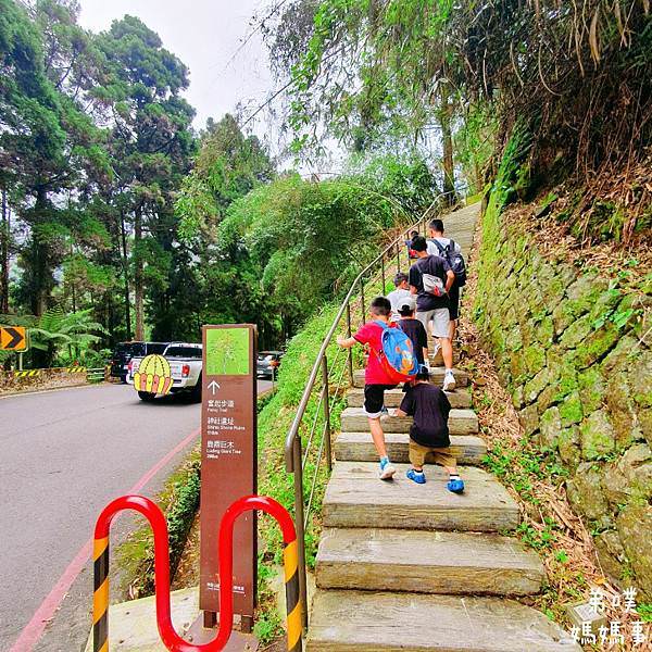 【嘉義】奮起湖步道│遠眺奮起湖車站、神社遺址、看巨木 ，好走