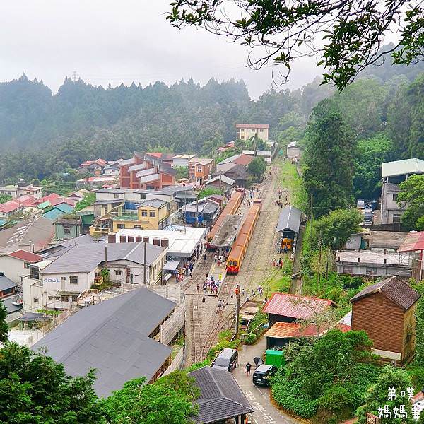 【嘉義】奮起湖步道│遠眺奮起湖車站、神社遺址、看巨木 ，好走