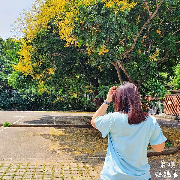 ONE BOY飛航模式CBD速眠衣│睡不好、失眠的你。推薦給