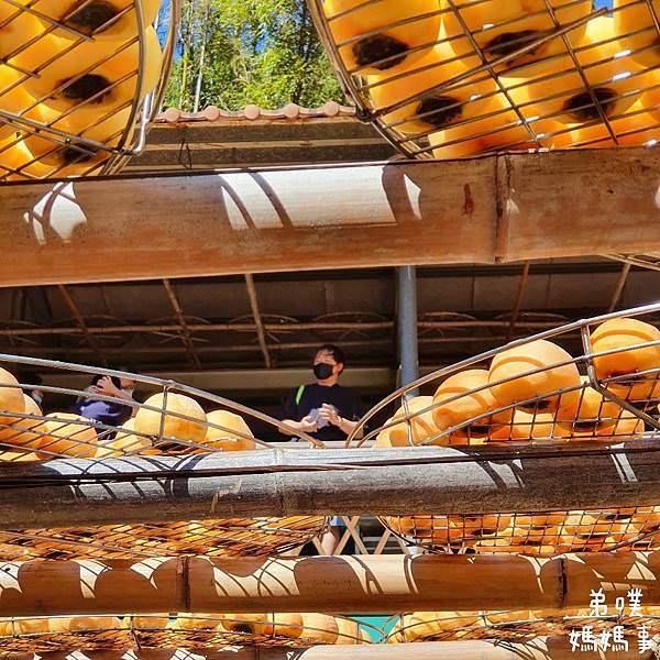 新竹‧新埔│味衛佳柿餅教育農園，秋冬限定柿餅美景+免費入園，好拍又能吃柿子點心