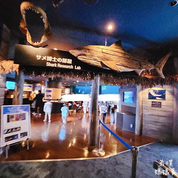 【日本‧沖繩】沖繩美麗海水族館(沖縄美ら海水族館)│看鯨鯊、