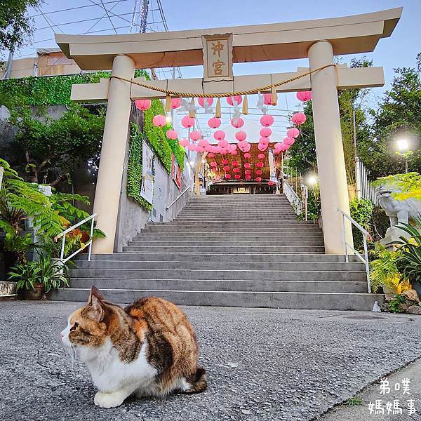 【日本‧沖繩】沖宮（琉球八社之一）│天燈山少見的白色鳥居、美