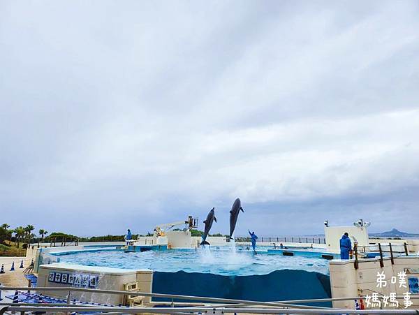 【日本‧沖繩】沖繩美麗海水族館(沖縄美ら海水族館)│看鯨鯊、
