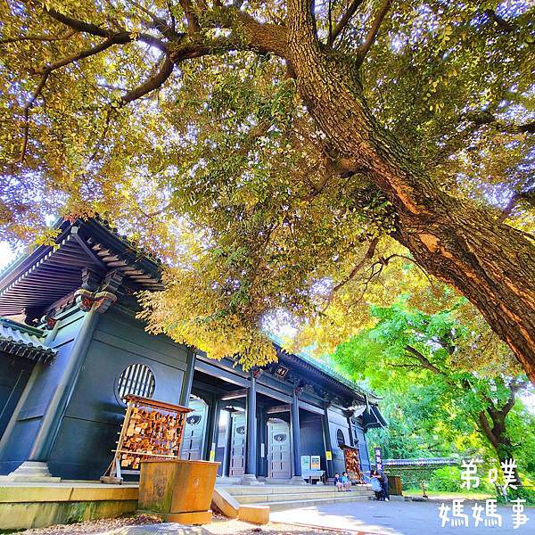【日本‧東京】湯島聖堂│大樹包圍的孔子廟，還有小小遊戲場。超