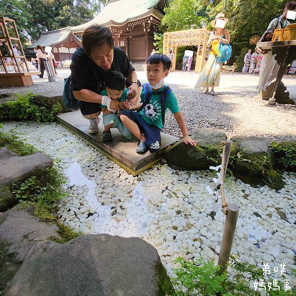 請輸入文章標題