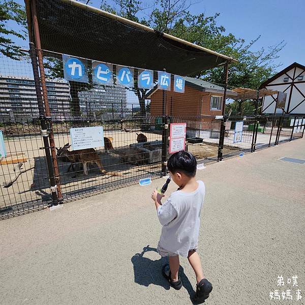 【日本‧琦玉】牛兵衛草庵川越店(焼肉ランチ一頭買い)│川越車
