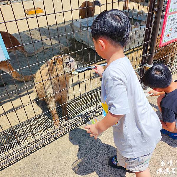 【日本‧琦玉】牛兵衛草庵川越店(焼肉ランチ一頭買い)│川越車