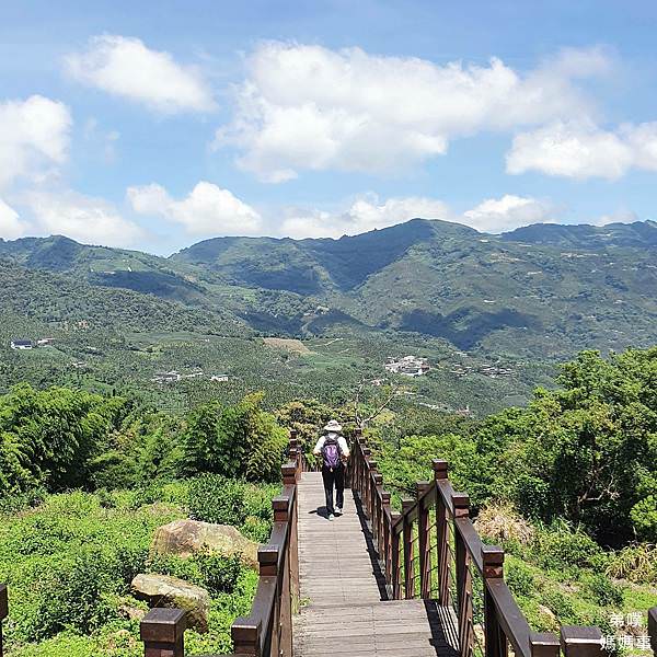 【嘉義‧梅山】太興岩步道