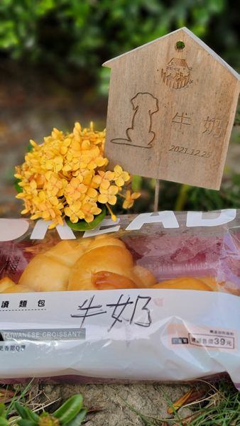 高齡犬/高齡狗/老狗/老犬-照護到安樂日記(文字居多) 高齡犬/高齡狗/老狗/老犬-照護到安樂日記(文字居多)