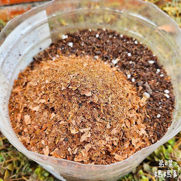 【媽媽事】FoodCycler廚餘大師Air開箱&使用心得 【媽媽事】FoodCycler廚餘大師Air開箱&使用心得