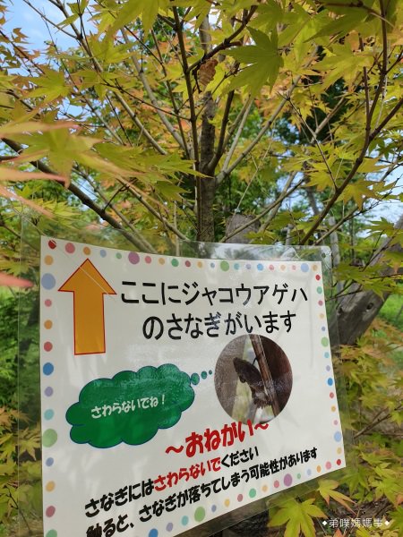 【日本‧石川】小松製造所紀念館 (こまつの杜)│小松車站東口