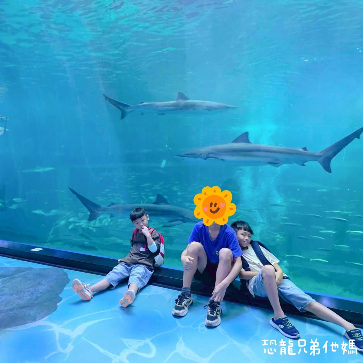韓國‧濟洲水上星球(아쿠아플라넷제주 ,Aqua Planet),韓國最大水族館,超震撼海底隧道、海女潛水秀、超萌魟魚表演全攻略,濟州必玩景點!!2025.08 - 第124張圖 韓國‧濟洲水上星球(아쿠아플라넷제주 ,Aqua Planet),韓國最大水族館,超震撼海底隧道、海女潛水秀、超萌魟魚表演全攻略,濟州必玩景點!!2025.08