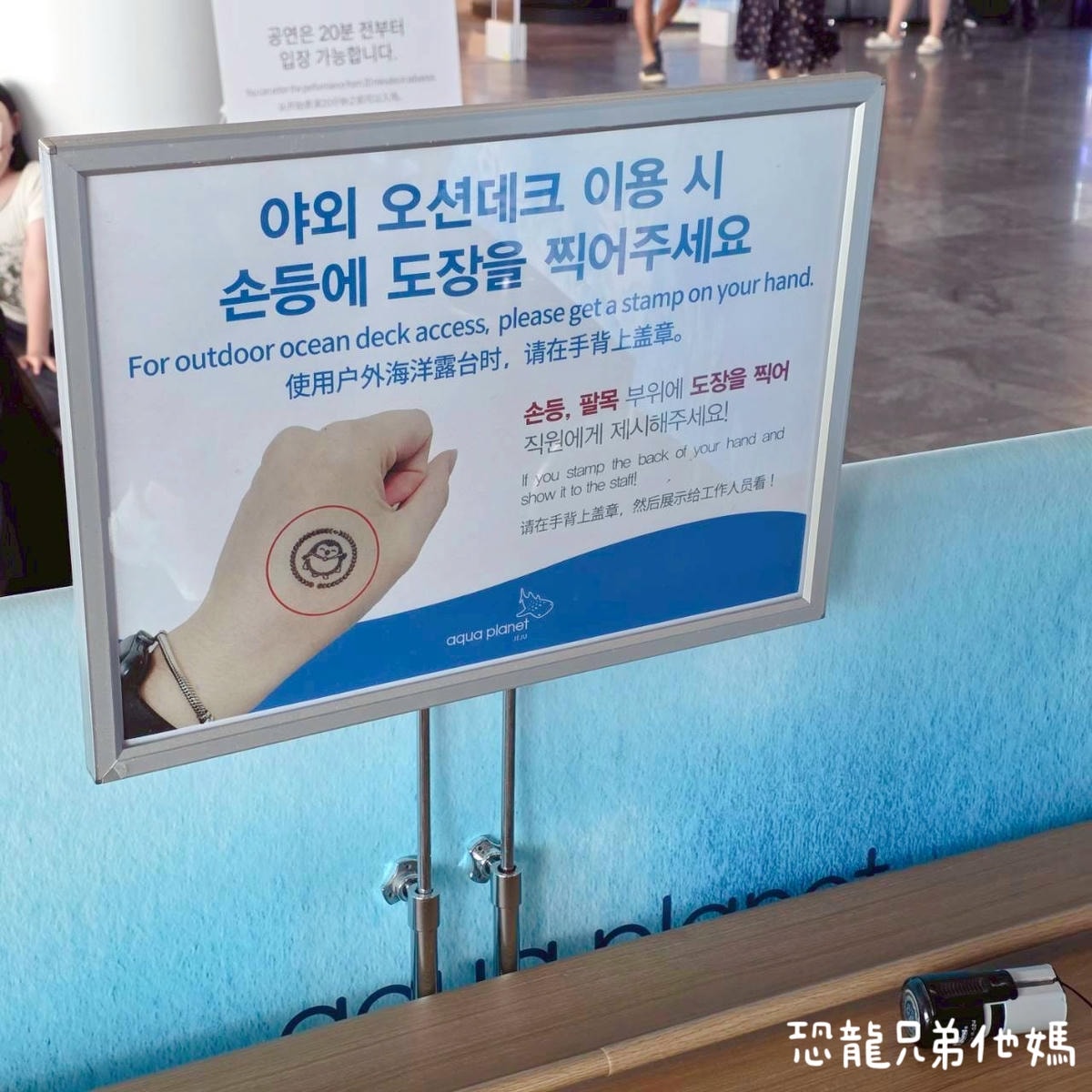 韓國‧濟洲水上星球(아쿠아플라넷제주 ,Aqua Planet),韓國最大水族館,超震撼海底隧道、海女潛水秀、超萌魟魚表演全攻略,濟州必玩景點!!2025.08 - 第222張圖 韓國‧濟洲水上星球(아쿠아플라넷제주 ,Aqua Planet),韓國最大水族館,超震撼海底隧道、海女潛水秀、超萌魟魚表演全攻略,濟州必玩景點!!2025.08