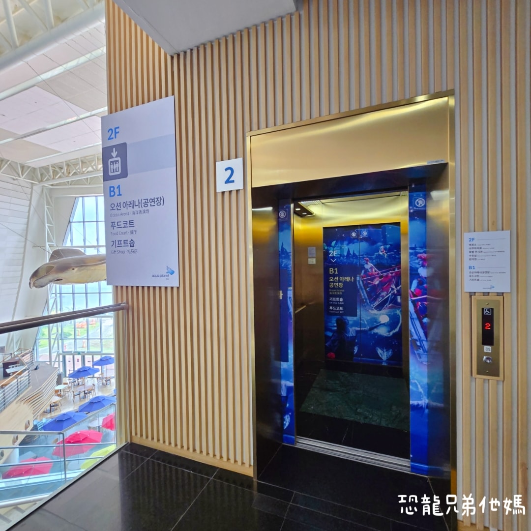 韓國‧濟洲水上星球(아쿠아플라넷제주 ,Aqua Planet),韓國最大水族館,超震撼海底隧道、海女潛水秀、超萌魟魚表演全攻略,濟州必玩景點!!2025.08 - 第18張圖 韓國‧濟洲水上星球(아쿠아플라넷제주 ,Aqua Planet),韓國最大水族館,超震撼海底隧道、海女潛水秀、超萌魟魚表演全攻略,濟州必玩景點!!2025.08