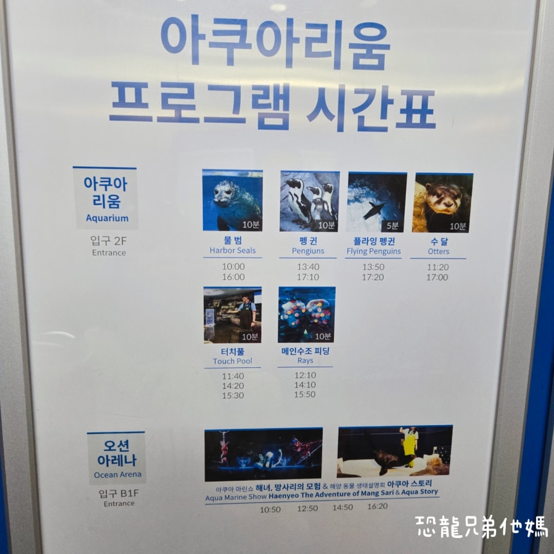 韓國‧濟洲水上星球(아쿠아플라넷제주 ,Aqua Planet),韓國最大水族館,超震撼海底隧道、海女潛水秀、超萌魟魚表演全攻略,濟州必玩景點!!2025.08 - 第9張圖 韓國‧濟洲水上星球(아쿠아플라넷제주 ,Aqua Planet),韓國最大水族館,超震撼海底隧道、海女潛水秀、超萌魟魚表演全攻略,濟州必玩景點!!2025.08
