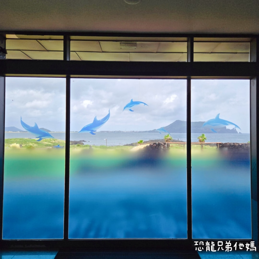 韓國‧濟洲水上星球(아쿠아플라넷제주 ,Aqua Planet),韓國最大水族館,超震撼海底隧道、海女潛水秀、超萌魟魚表演全攻略,濟州必玩景點!!2025.08 - 第24張圖 韓國‧濟洲水上星球(아쿠아플라넷제주 ,Aqua Planet),韓國最大水族館,超震撼海底隧道、海女潛水秀、超萌魟魚表演全攻略,濟州必玩景點!!2025.08
