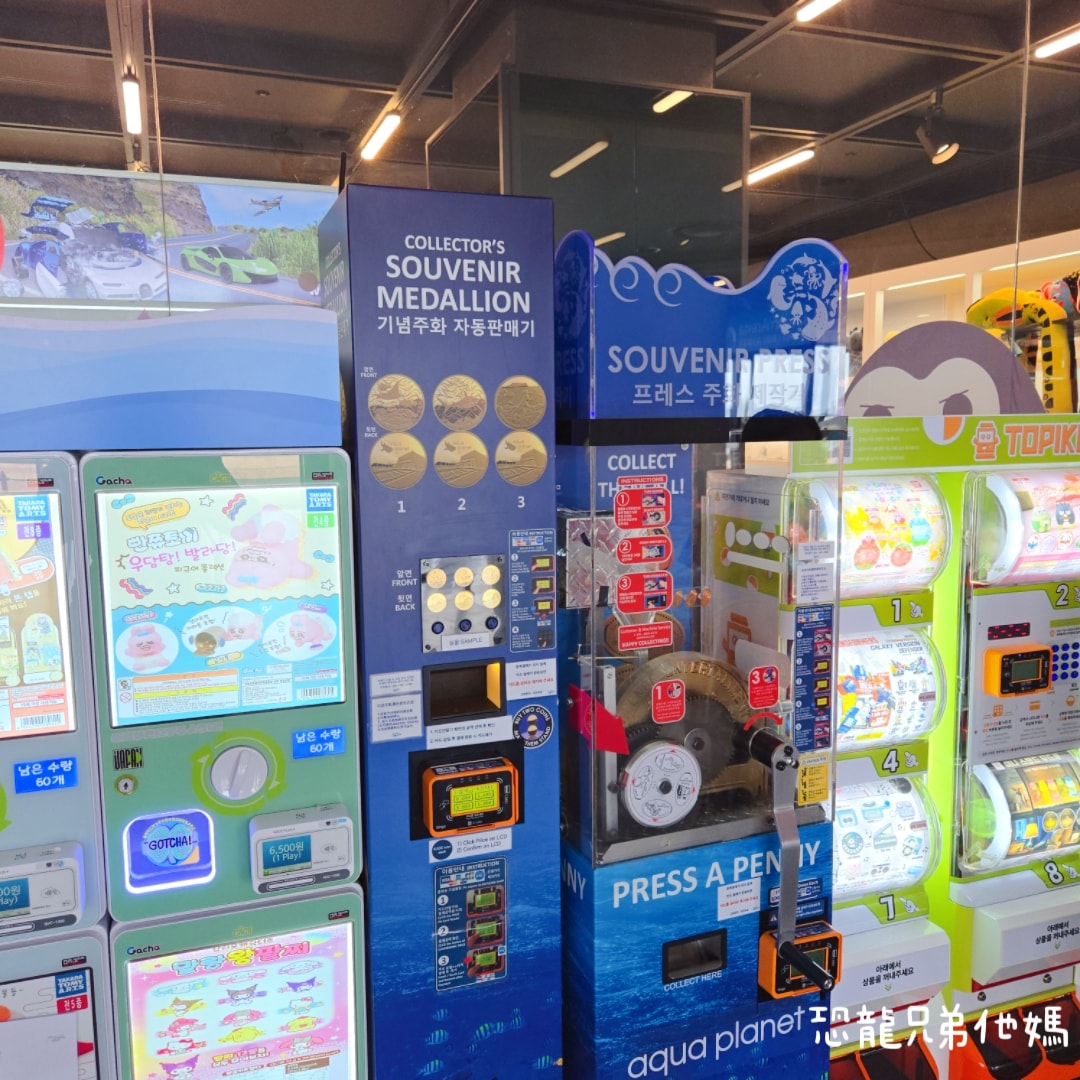 韓國‧濟洲水上星球(아쿠아플라넷제주 ,Aqua Planet),韓國最大水族館,超震撼海底隧道、海女潛水秀、超萌魟魚表演全攻略,濟州必玩景點!!2025.08 - 第197張圖 韓國‧濟洲水上星球(아쿠아플라넷제주 ,Aqua Planet),韓國最大水族館,超震撼海底隧道、海女潛水秀、超萌魟魚表演全攻略,濟州必玩景點!!2025.08