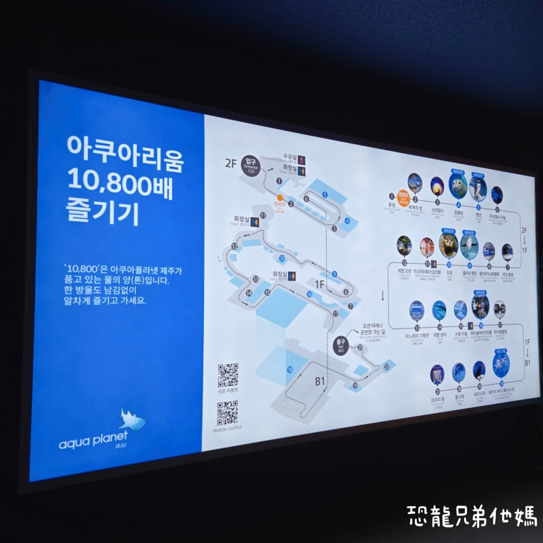 韓國‧濟洲水上星球(아쿠아플라넷제주 ,Aqua Planet),韓國最大水族館,超震撼海底隧道、海女潛水秀、超萌魟魚表演全攻略,濟州必玩景點!!2025.08 - 第3張圖 韓國‧濟洲水上星球(아쿠아플라넷제주 ,Aqua Planet),韓國最大水族館,超震撼海底隧道、海女潛水秀、超萌魟魚表演全攻略,濟州必玩景點!!2025.08