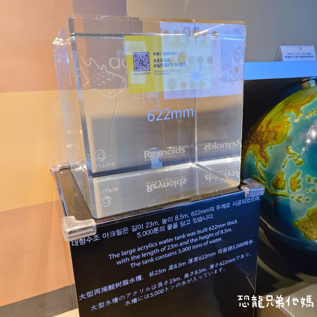韓國‧濟洲水上星球(아쿠아플라넷제주 ,Aqua Planet),韓國最大水族館,超震撼海底隧道、海女潛水秀、超萌魟魚表演全攻略,濟州必玩景點!!2025.08 - 第39張圖 韓國‧濟洲水上星球(아쿠아플라넷제주 ,Aqua Planet),韓國最大水族館,超震撼海底隧道、海女潛水秀、超萌魟魚表演全攻略,濟州必玩景點!!2025.08