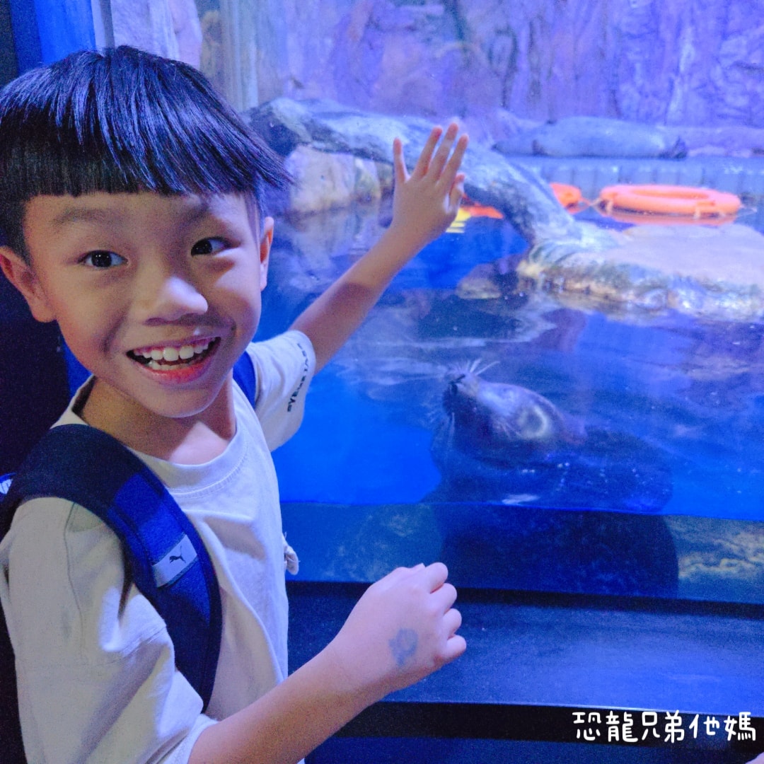 韓國‧濟洲水上星球(아쿠아플라넷제주 ,Aqua Planet)，韓國最大水族館，超震撼海底隧道、海女潛水秀、超萌魟魚表演全攻略，濟州必玩景點!!2025.08
