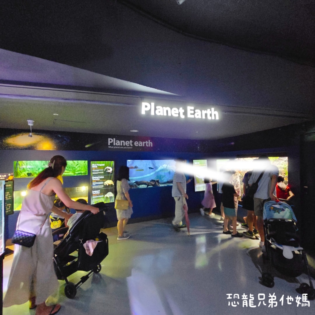 韓國‧濟洲水上星球(아쿠아플라넷제주 ,Aqua Planet),韓國最大水族館,超震撼海底隧道、海女潛水秀、超萌魟魚表演全攻略,濟州必玩景點!!2025.08 - 第69張圖 韓國‧濟洲水上星球(아쿠아플라넷제주 ,Aqua Planet),韓國最大水族館,超震撼海底隧道、海女潛水秀、超萌魟魚表演全攻略,濟州必玩景點!!2025.08