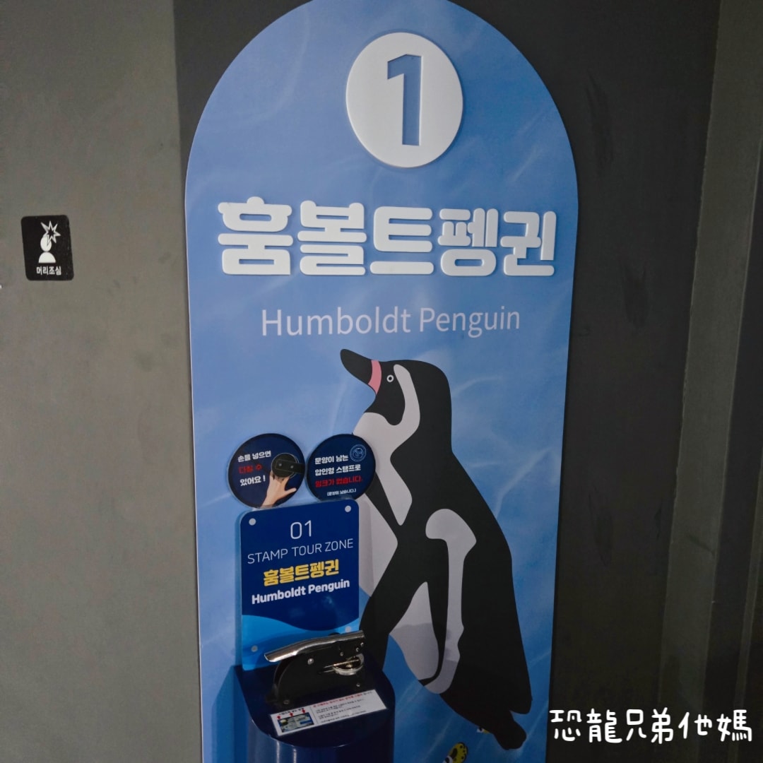 韓國‧濟洲水上星球(아쿠아플라넷제주 ,Aqua Planet),韓國最大水族館,超震撼海底隧道、海女潛水秀、超萌魟魚表演全攻略,濟州必玩景點!!2025.08 - 第61張圖 韓國‧濟洲水上星球(아쿠아플라넷제주 ,Aqua Planet),韓國最大水族館,超震撼海底隧道、海女潛水秀、超萌魟魚表演全攻略,濟州必玩景點!!2025.08