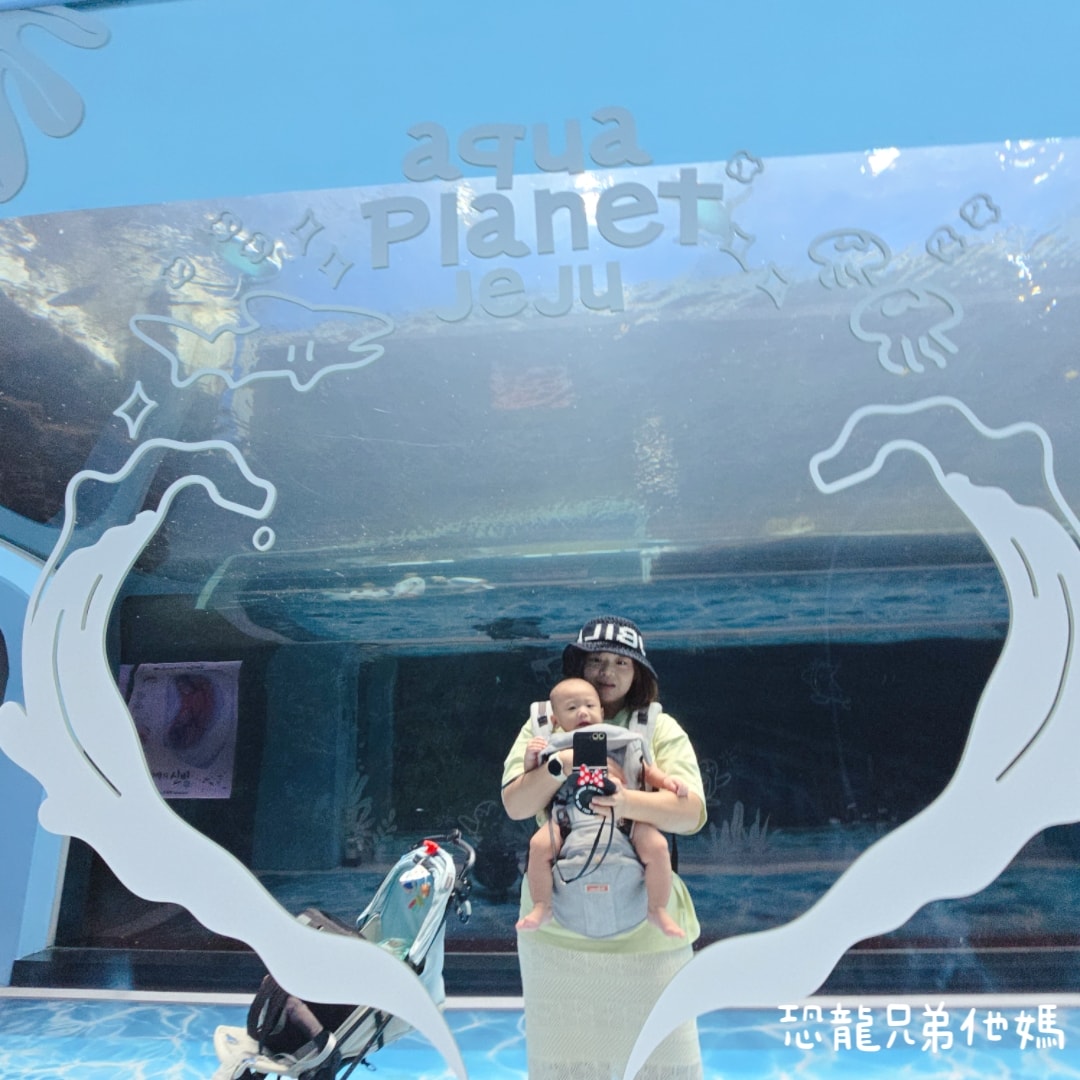 韓國‧濟洲水上星球(아쿠아플라넷제주 ,Aqua Planet),韓國最大水族館,超震撼海底隧道、海女潛水秀、超萌魟魚表演全攻略,濟州必玩景點!!2025.08 - 第75張圖 韓國‧濟洲水上星球(아쿠아플라넷제주 ,Aqua Planet),韓國最大水族館,超震撼海底隧道、海女潛水秀、超萌魟魚表演全攻略,濟州必玩景點!!2025.08
