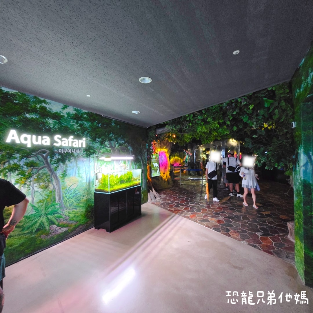 韓國‧濟洲水上星球(아쿠아플라넷제주 ,Aqua Planet),韓國最大水族館,超震撼海底隧道、海女潛水秀、超萌魟魚表演全攻略,濟州必玩景點!!2025.08 - 第81張圖 韓國‧濟洲水上星球(아쿠아플라넷제주 ,Aqua Planet),韓國最大水族館,超震撼海底隧道、海女潛水秀、超萌魟魚表演全攻略,濟州必玩景點!!2025.08