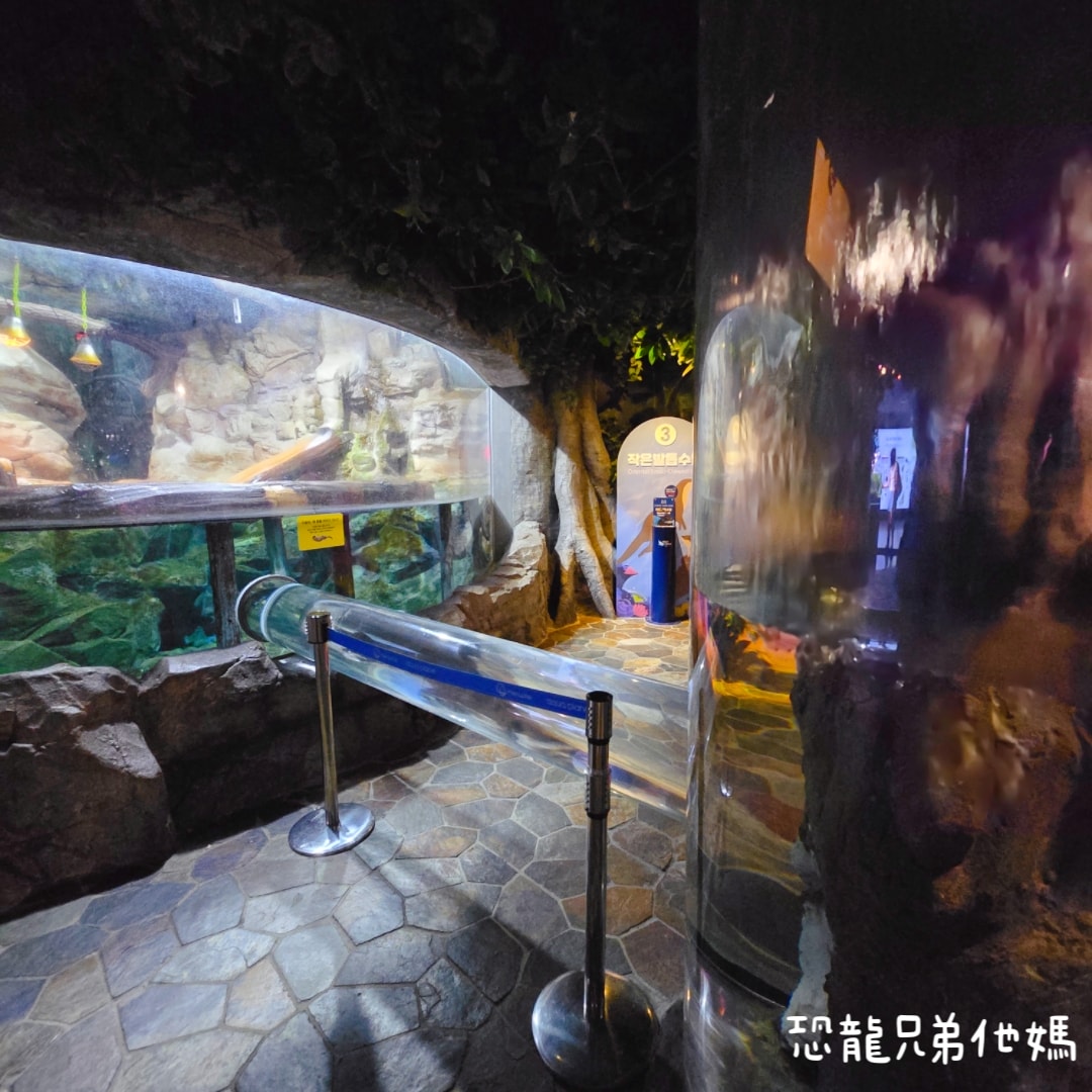 韓國‧濟洲水上星球(아쿠아플라넷제주 ,Aqua Planet),韓國最大水族館,超震撼海底隧道、海女潛水秀、超萌魟魚表演全攻略,濟州必玩景點!!2025.08 - 第83張圖 韓國‧濟洲水上星球(아쿠아플라넷제주 ,Aqua Planet),韓國最大水族館,超震撼海底隧道、海女潛水秀、超萌魟魚表演全攻略,濟州必玩景點!!2025.08