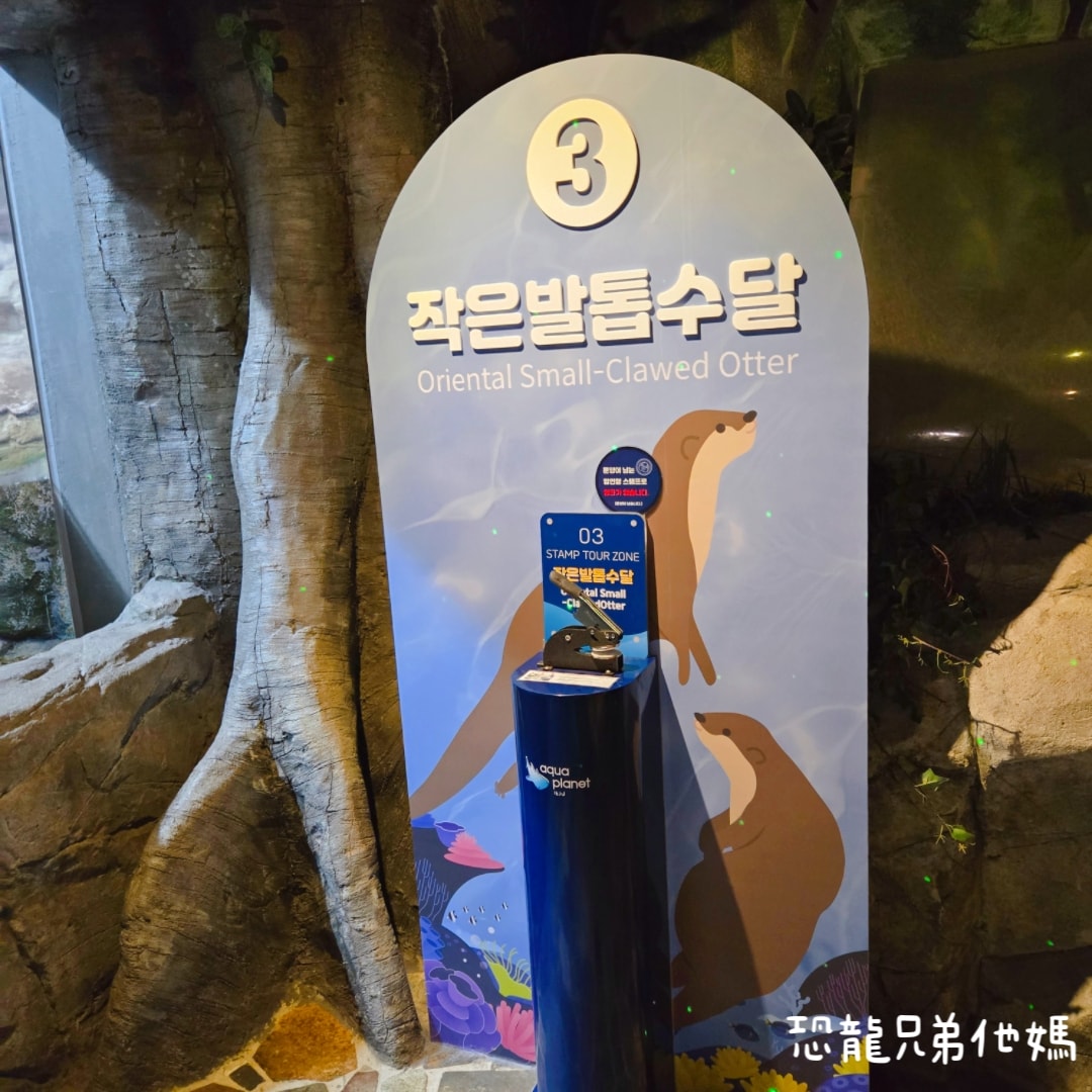 韓國‧濟洲水上星球(아쿠아플라넷제주 ,Aqua Planet),韓國最大水族館,超震撼海底隧道、海女潛水秀、超萌魟魚表演全攻略,濟州必玩景點!!2025.08 - 第86張圖 韓國‧濟洲水上星球(아쿠아플라넷제주 ,Aqua Planet),韓國最大水族館,超震撼海底隧道、海女潛水秀、超萌魟魚表演全攻略,濟州必玩景點!!2025.08