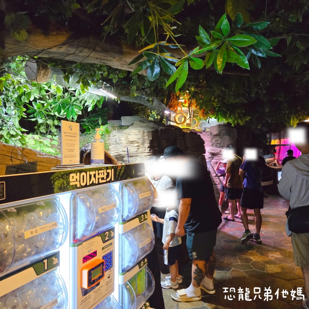 韓國‧濟洲水上星球(아쿠아플라넷제주 ,Aqua Planet),韓國最大水族館,超震撼海底隧道、海女潛水秀、超萌魟魚表演全攻略,濟州必玩景點!!2025.08 - 第91張圖 韓國‧濟洲水上星球(아쿠아플라넷제주 ,Aqua Planet),韓國最大水族館,超震撼海底隧道、海女潛水秀、超萌魟魚表演全攻略,濟州必玩景點!!2025.08