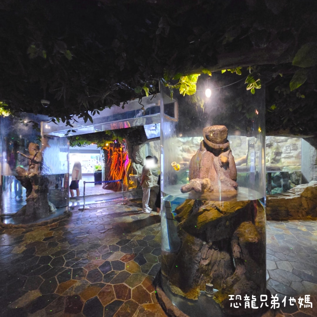 韓國‧濟洲水上星球(아쿠아플라넷제주 ,Aqua Planet),韓國最大水族館,超震撼海底隧道、海女潛水秀、超萌魟魚表演全攻略,濟州必玩景點!!2025.08 - 第84張圖 韓國‧濟洲水上星球(아쿠아플라넷제주 ,Aqua Planet),韓國最大水族館,超震撼海底隧道、海女潛水秀、超萌魟魚表演全攻略,濟州必玩景點!!2025.08