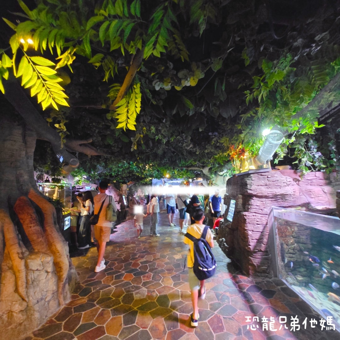 韓國‧濟洲水上星球(아쿠아플라넷제주 ,Aqua Planet),韓國最大水族館,超震撼海底隧道、海女潛水秀、超萌魟魚表演全攻略,濟州必玩景點!!2025.08 - 第95張圖 韓國‧濟洲水上星球(아쿠아플라넷제주 ,Aqua Planet),韓國最大水族館,超震撼海底隧道、海女潛水秀、超萌魟魚表演全攻略,濟州必玩景點!!2025.08