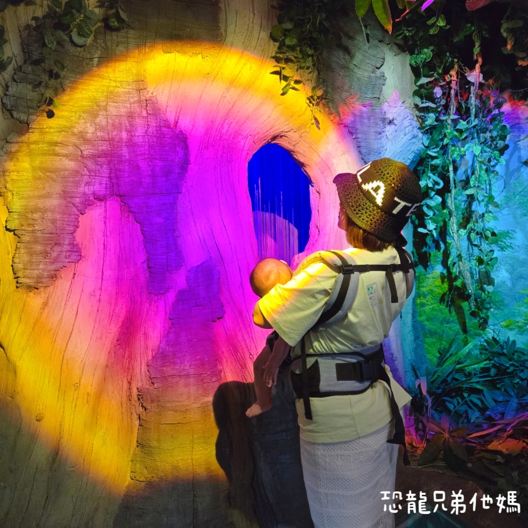 韓國‧濟洲水上星球(아쿠아플라넷제주 ,Aqua Planet),韓國最大水族館,超震撼海底隧道、海女潛水秀、超萌魟魚表演全攻略,濟州必玩景點!!2025.08 - 第100張圖 韓國‧濟洲水上星球(아쿠아플라넷제주 ,Aqua Planet),韓國最大水族館,超震撼海底隧道、海女潛水秀、超萌魟魚表演全攻略,濟州必玩景點!!2025.08