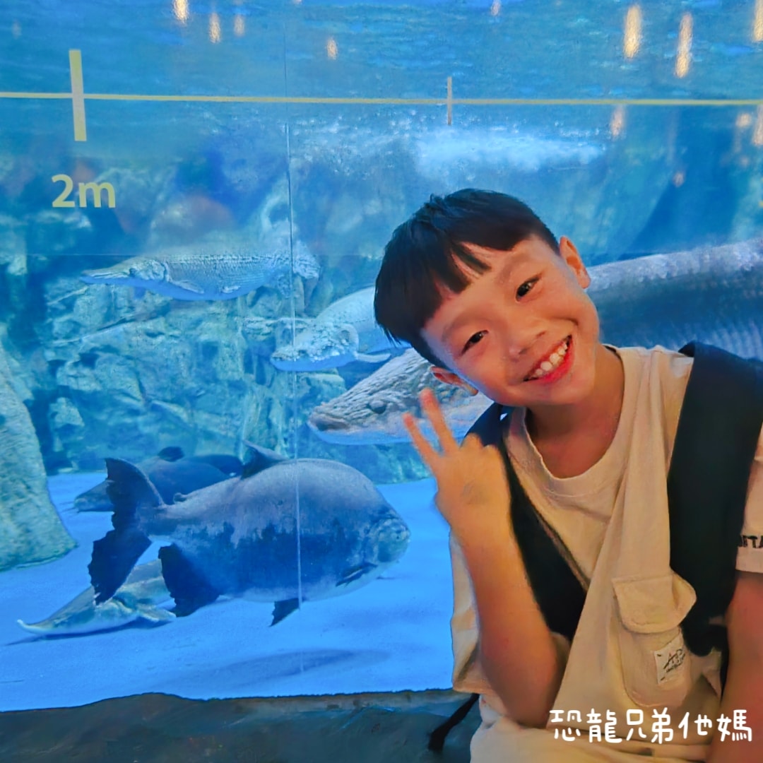 韓國‧濟洲水上星球(아쿠아플라넷제주 ,Aqua Planet),韓國最大水族館,超震撼海底隧道、海女潛水秀、超萌魟魚表演全攻略,濟州必玩景點!!2025.08 - 第107張圖 韓國‧濟洲水上星球(아쿠아플라넷제주 ,Aqua Planet),韓國最大水族館,超震撼海底隧道、海女潛水秀、超萌魟魚表演全攻略,濟州必玩景點!!2025.08
