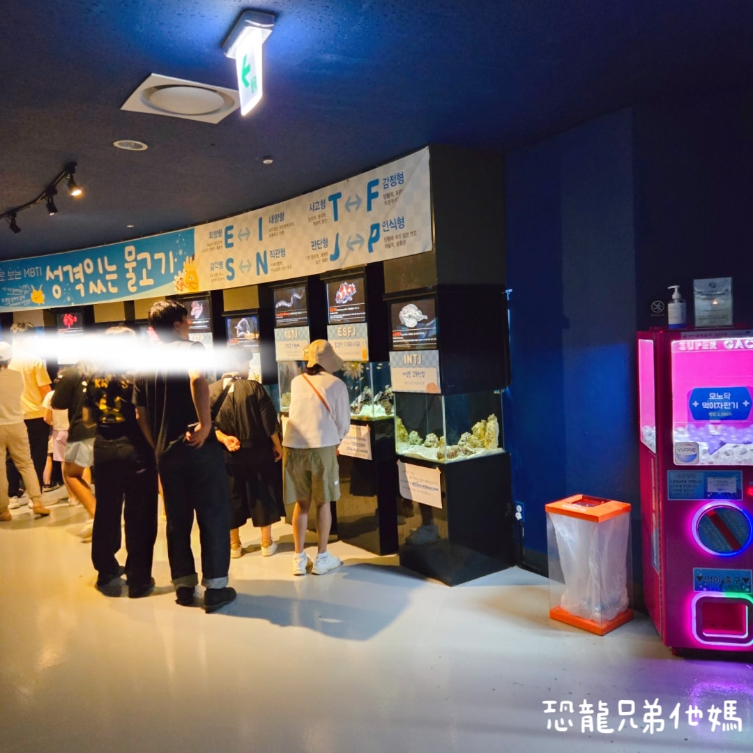 韓國‧濟洲水上星球(아쿠아플라넷제주 ,Aqua Planet)，韓國最大水族館，超震撼海底隧道、海女潛水秀、超萌魟魚表演全攻略，濟州必玩景點!!2025.08