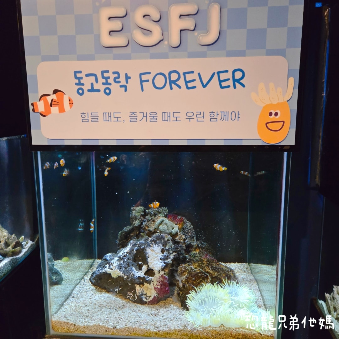 韓國‧濟洲水上星球(아쿠아플라넷제주 ,Aqua Planet)，韓國最大水族館，超震撼海底隧道、海女潛水秀、超萌魟魚表演全攻略，濟州必玩景點!!2025.08
