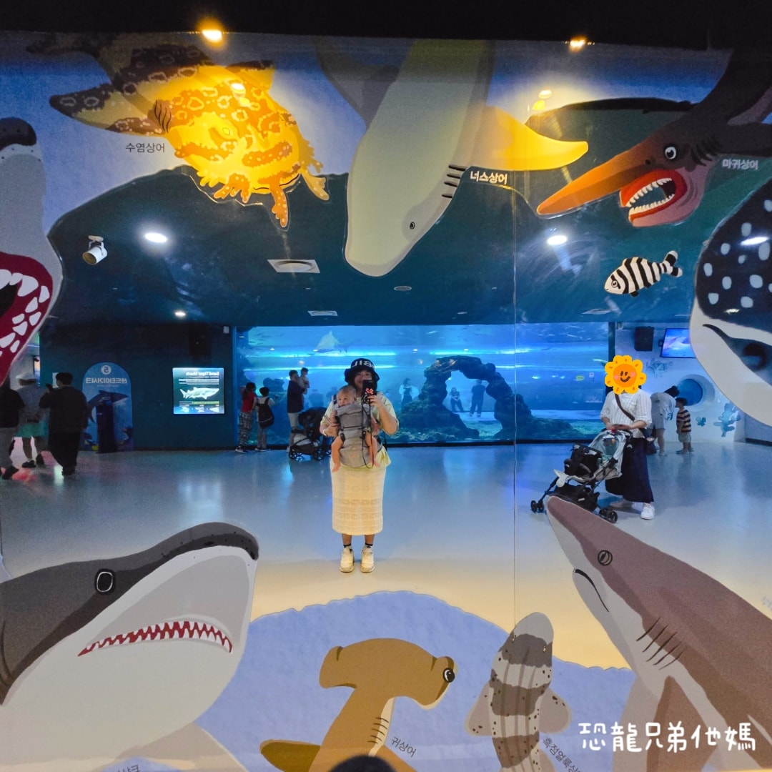 韓國‧濟洲水上星球(아쿠아플라넷제주 ,Aqua Planet),韓國最大水族館,超震撼海底隧道、海女潛水秀、超萌魟魚表演全攻略,濟州必玩景點!!2025.08 - 第121張圖 韓國‧濟洲水上星球(아쿠아플라넷제주 ,Aqua Planet),韓國最大水族館,超震撼海底隧道、海女潛水秀、超萌魟魚表演全攻略,濟州必玩景點!!2025.08