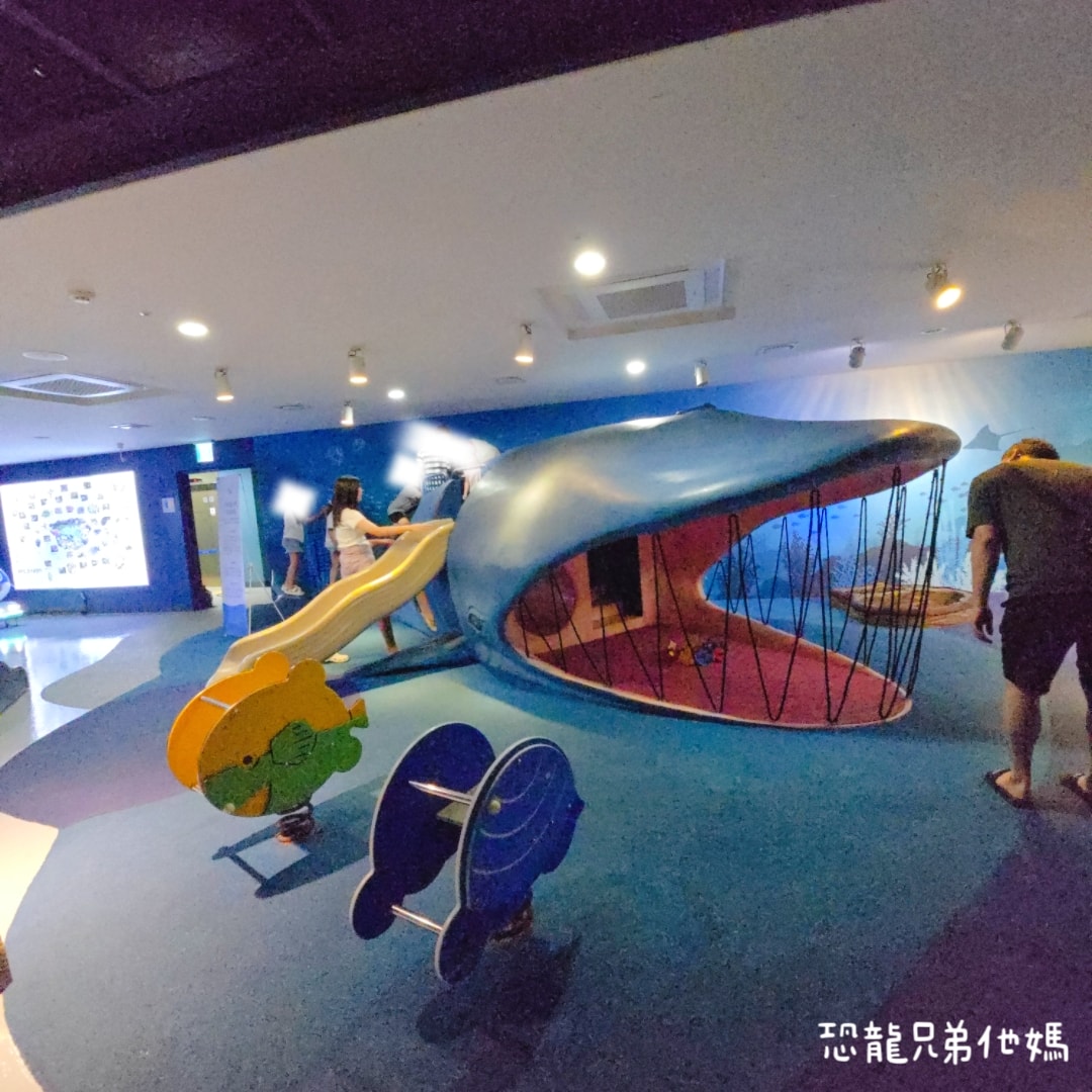 韓國‧濟洲水上星球(아쿠아플라넷제주 ,Aqua Planet),韓國最大水族館,超震撼海底隧道、海女潛水秀、超萌魟魚表演全攻略,濟州必玩景點!!2025.08 - 第135張圖 韓國‧濟洲水上星球(아쿠아플라넷제주 ,Aqua Planet),韓國最大水族館,超震撼海底隧道、海女潛水秀、超萌魟魚表演全攻略,濟州必玩景點!!2025.08