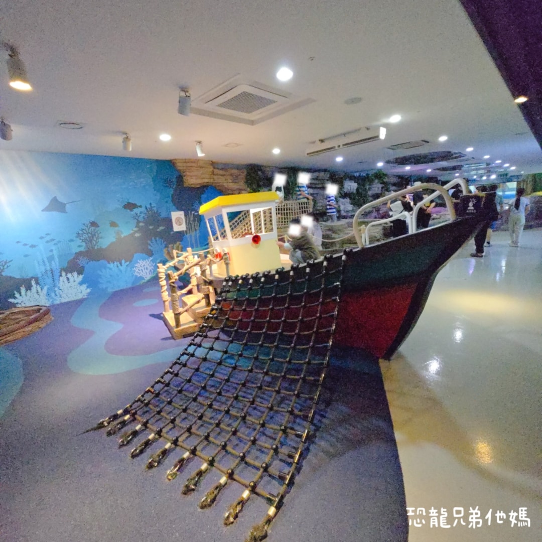 韓國‧濟洲水上星球(아쿠아플라넷제주 ,Aqua Planet),韓國最大水族館,超震撼海底隧道、海女潛水秀、超萌魟魚表演全攻略,濟州必玩景點!!2025.08 - 第136張圖 韓國‧濟洲水上星球(아쿠아플라넷제주 ,Aqua Planet),韓國最大水族館,超震撼海底隧道、海女潛水秀、超萌魟魚表演全攻略,濟州必玩景點!!2025.08
