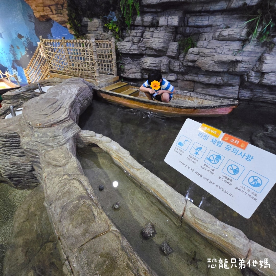 韓國‧濟洲水上星球(아쿠아플라넷제주 ,Aqua Planet),韓國最大水族館,超震撼海底隧道、海女潛水秀、超萌魟魚表演全攻略,濟州必玩景點!!2025.08 - 第140張圖 韓國‧濟洲水上星球(아쿠아플라넷제주 ,Aqua Planet),韓國最大水族館,超震撼海底隧道、海女潛水秀、超萌魟魚表演全攻略,濟州必玩景點!!2025.08