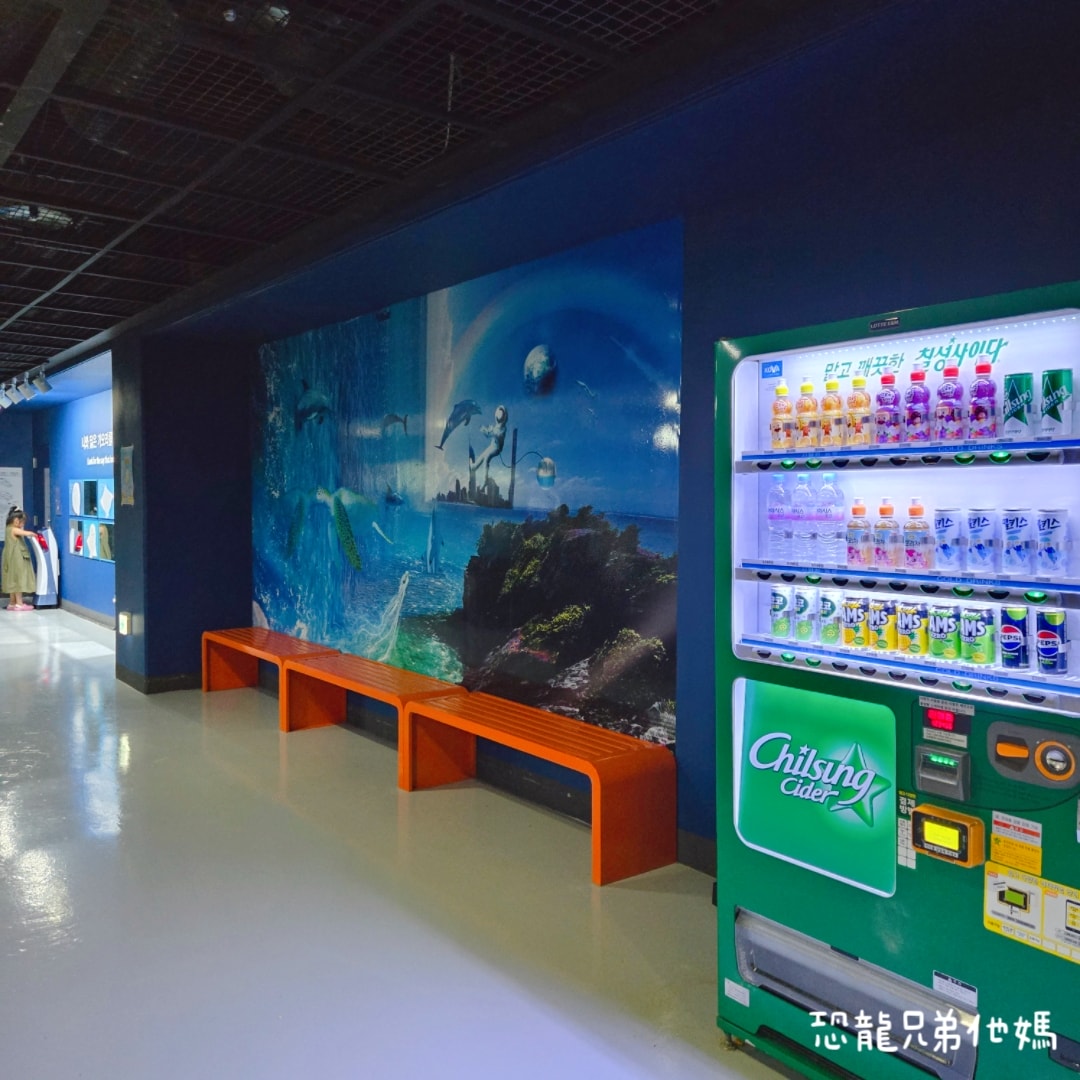 韓國‧濟洲水上星球(아쿠아플라넷제주 ,Aqua Planet),韓國最大水族館,超震撼海底隧道、海女潛水秀、超萌魟魚表演全攻略,濟州必玩景點!!2025.08 - 第139張圖 韓國‧濟洲水上星球(아쿠아플라넷제주 ,Aqua Planet),韓國最大水族館,超震撼海底隧道、海女潛水秀、超萌魟魚表演全攻略,濟州必玩景點!!2025.08