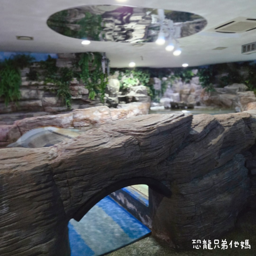 韓國‧濟洲水上星球(아쿠아플라넷제주 ,Aqua Planet)，韓國最大水族館，超震撼海底隧道、海女潛水秀、超萌魟魚表演全攻略，濟州必玩景點!!2025.08