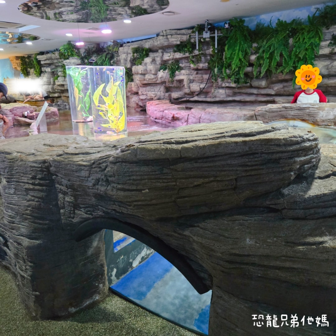 韓國‧濟洲水上星球(아쿠아플라넷제주 ,Aqua Planet),韓國最大水族館,超震撼海底隧道、海女潛水秀、超萌魟魚表演全攻略,濟州必玩景點!!2025.08 - 第144張圖 韓國‧濟洲水上星球(아쿠아플라넷제주 ,Aqua Planet),韓國最大水族館,超震撼海底隧道、海女潛水秀、超萌魟魚表演全攻略,濟州必玩景點!!2025.08