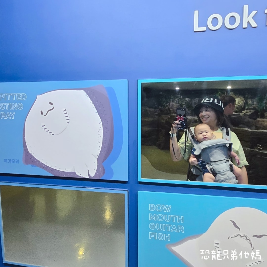 韓國‧濟洲水上星球(아쿠아플라넷제주 ,Aqua Planet)，韓國最大水族館，超震撼海底隧道、海女潛水秀、超萌魟魚表演全攻略，濟州必玩景點!!2025.08