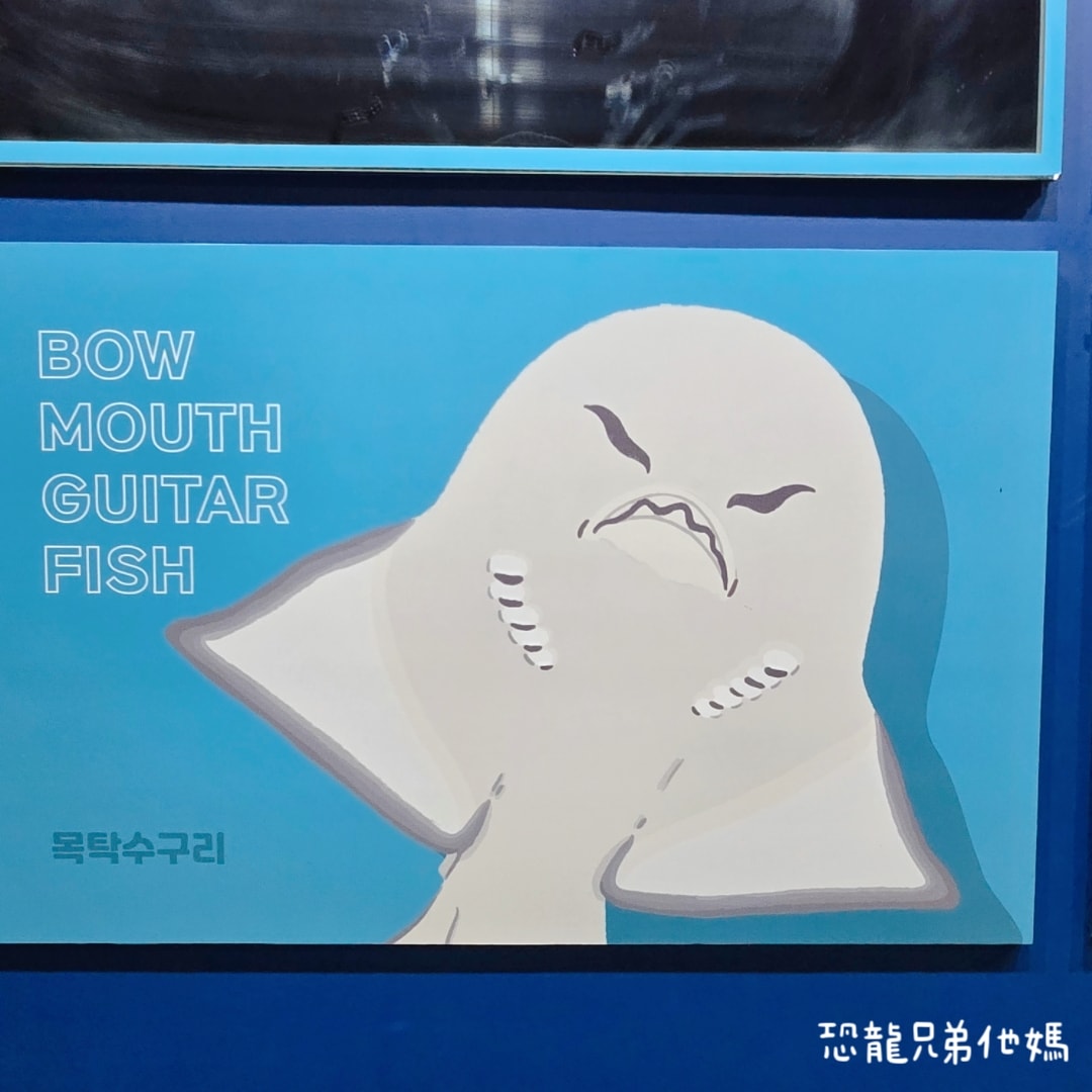 韓國‧濟洲水上星球(아쿠아플라넷제주 ,Aqua Planet),韓國最大水族館,超震撼海底隧道、海女潛水秀、超萌魟魚表演全攻略,濟州必玩景點!!2025.08 - 第147張圖 韓國‧濟洲水上星球(아쿠아플라넷제주 ,Aqua Planet),韓國最大水族館,超震撼海底隧道、海女潛水秀、超萌魟魚表演全攻略,濟州必玩景點!!2025.08